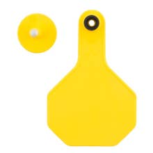 Y-Tex All-American 2-Piece Blank Ear Tags