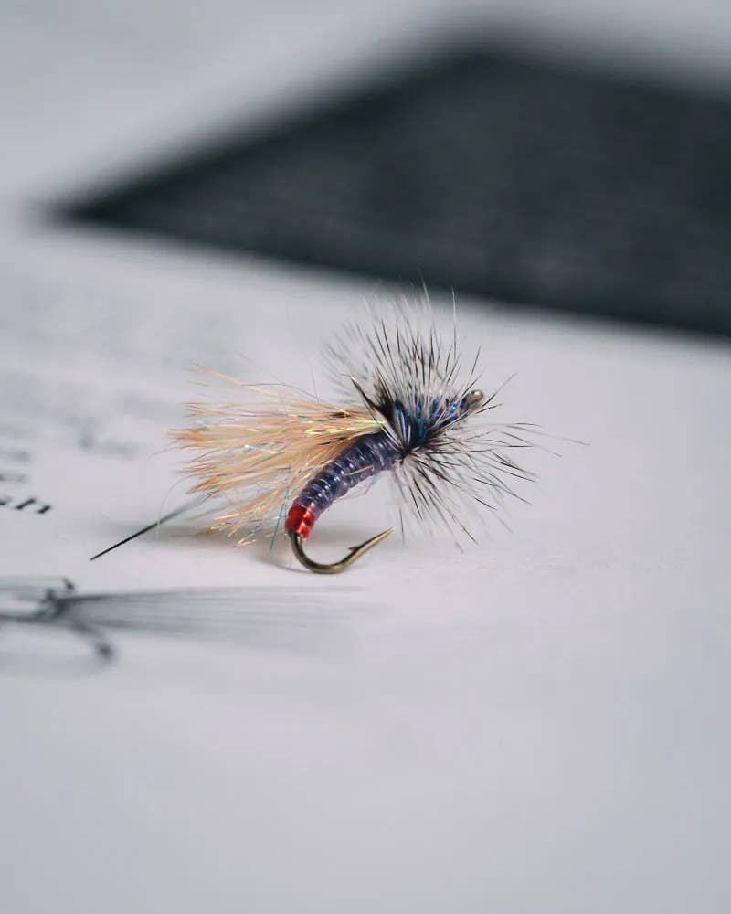 Garcia's Mini Hot