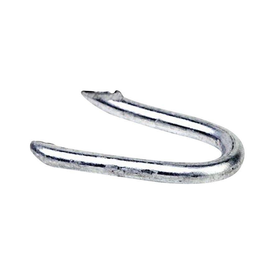 Grip Rite Hot Dipped Galvanized Poultry Net Staple 5 lb 3/4""