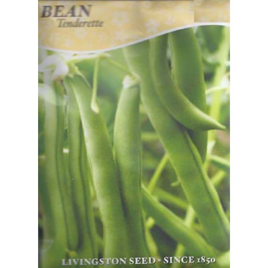 Livingston Seed Tenderette Bean Seed