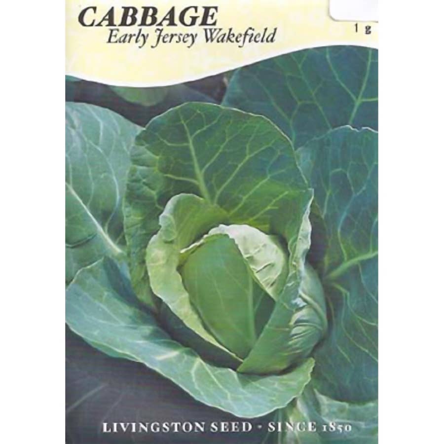 Livingston Seed Early Jersey Wakefield Cabbage Seed