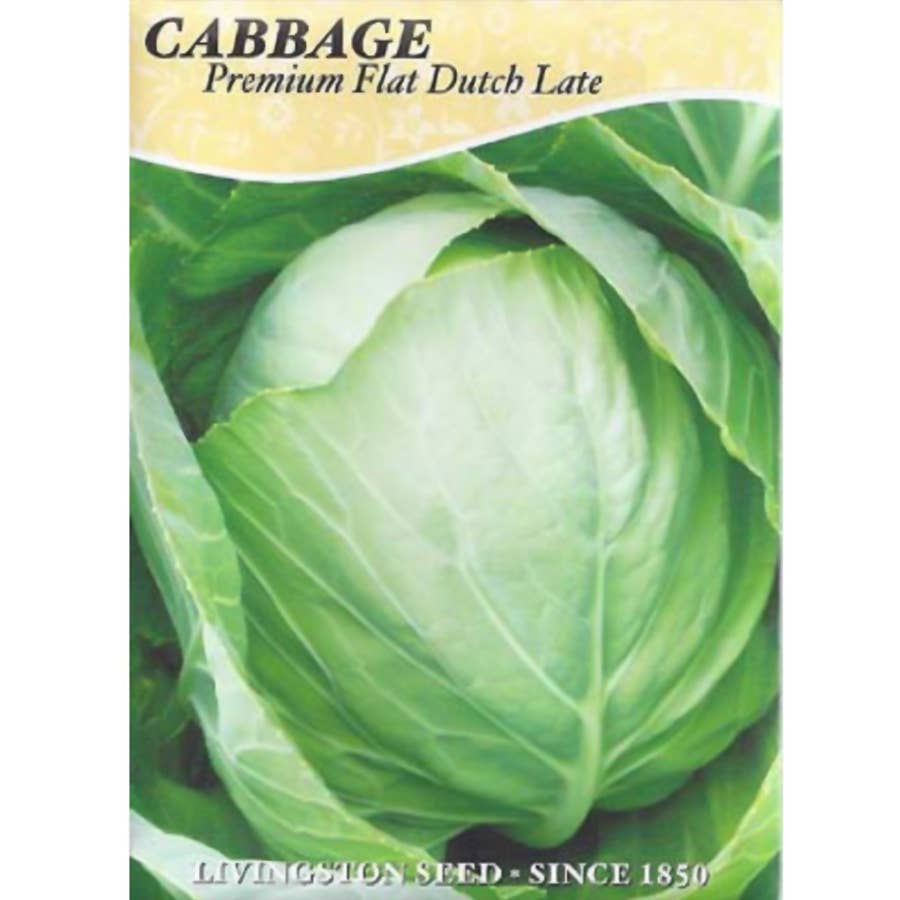 Livingston Seed Premium Flat Dutch Late Cabbage Seed