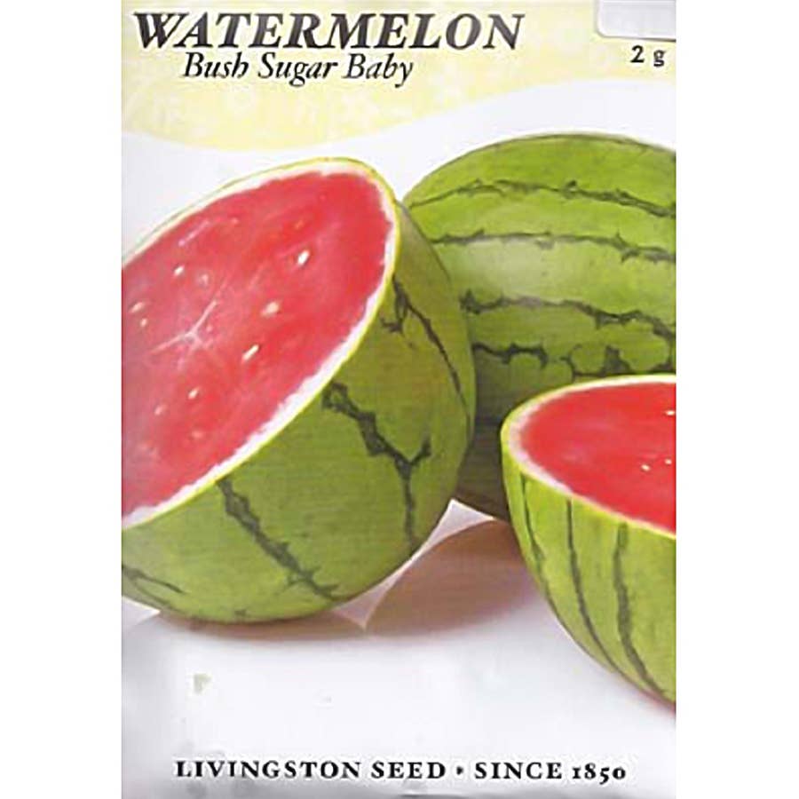 Livingston Seed Bush Sugar Baby Watermelon Seed