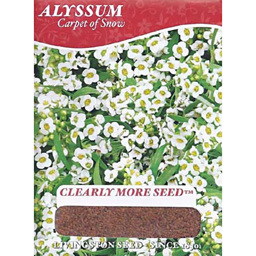 Livingston Seed Carpet of Snow Alyssum Seed