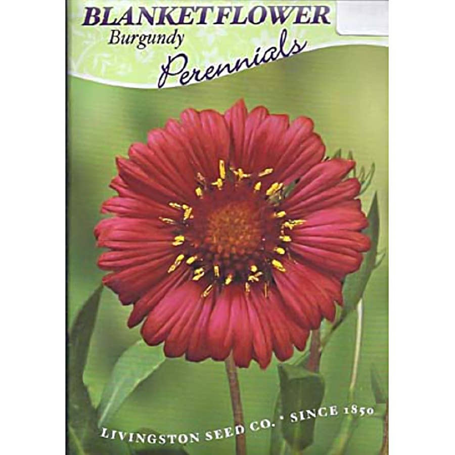 Livingston Seed Blanket Flower Seed Burgundy