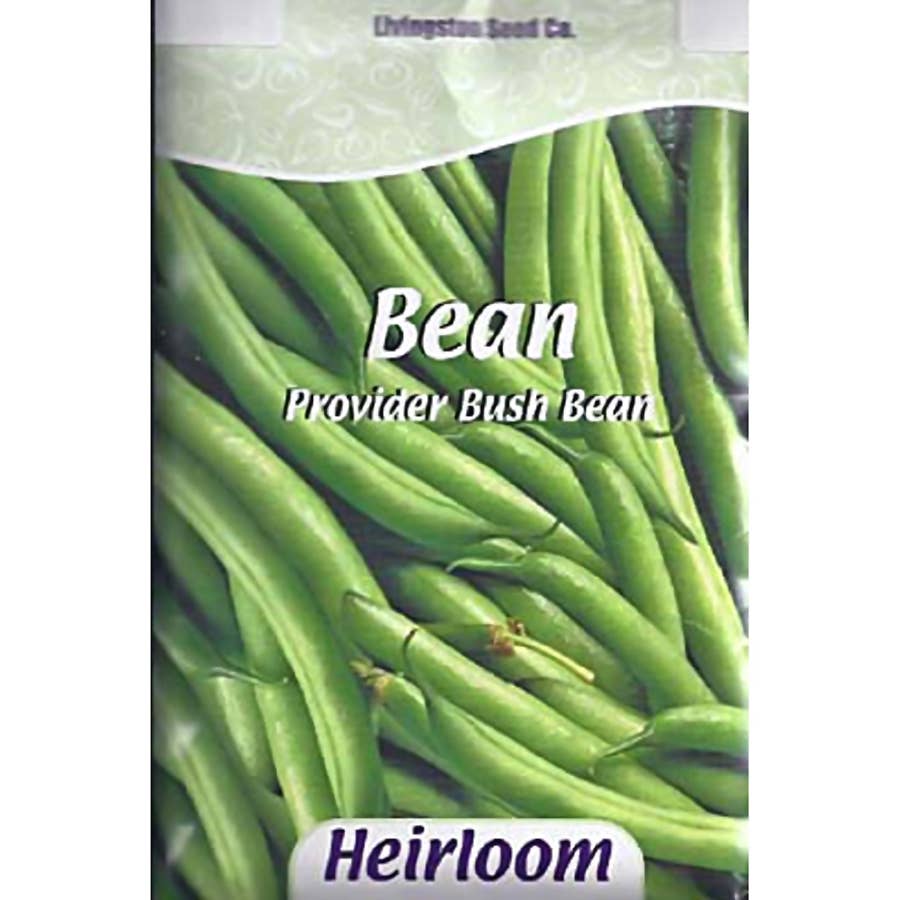 Heirloom Bush Provider Bean Seed