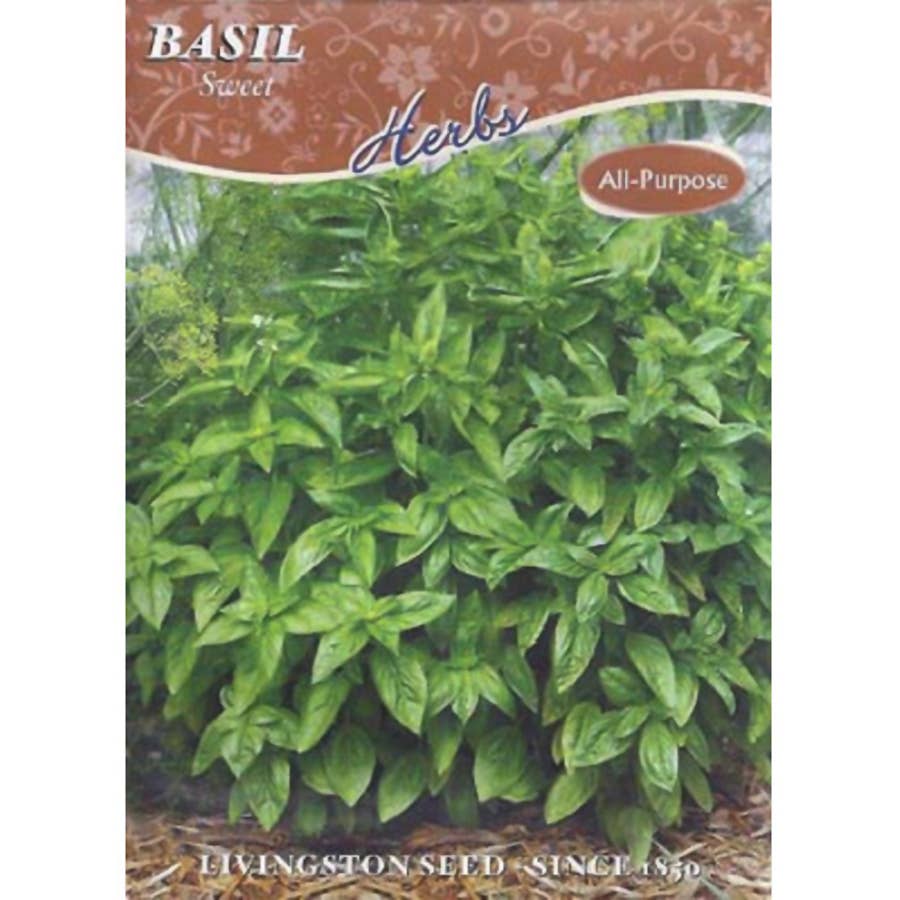 Livingston Seed Sweet Basil Seed