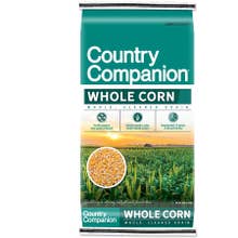 Country Companion Whole Corn - 50lb