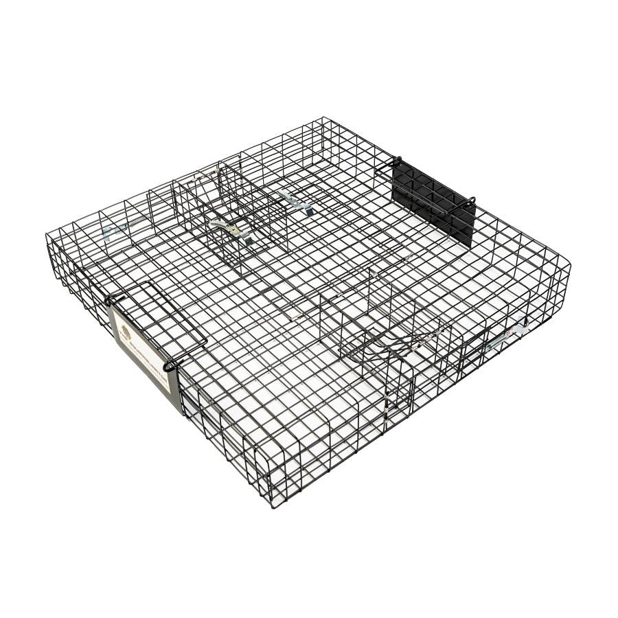 Advantek Catch & Release Live Raccoon and Rabbit Traps (2 Pack)