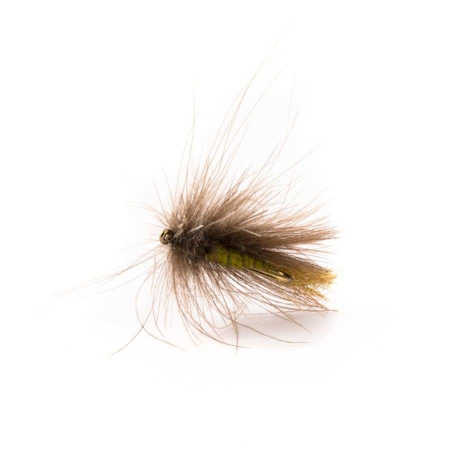 CornFed Caddis Fly