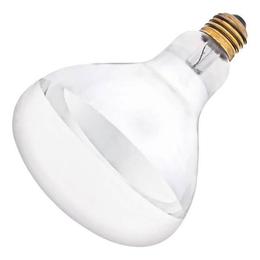 Westinghouse 250 Watt R40 Incandescent Soft Glass Infrared Heat Clear Light Bulb