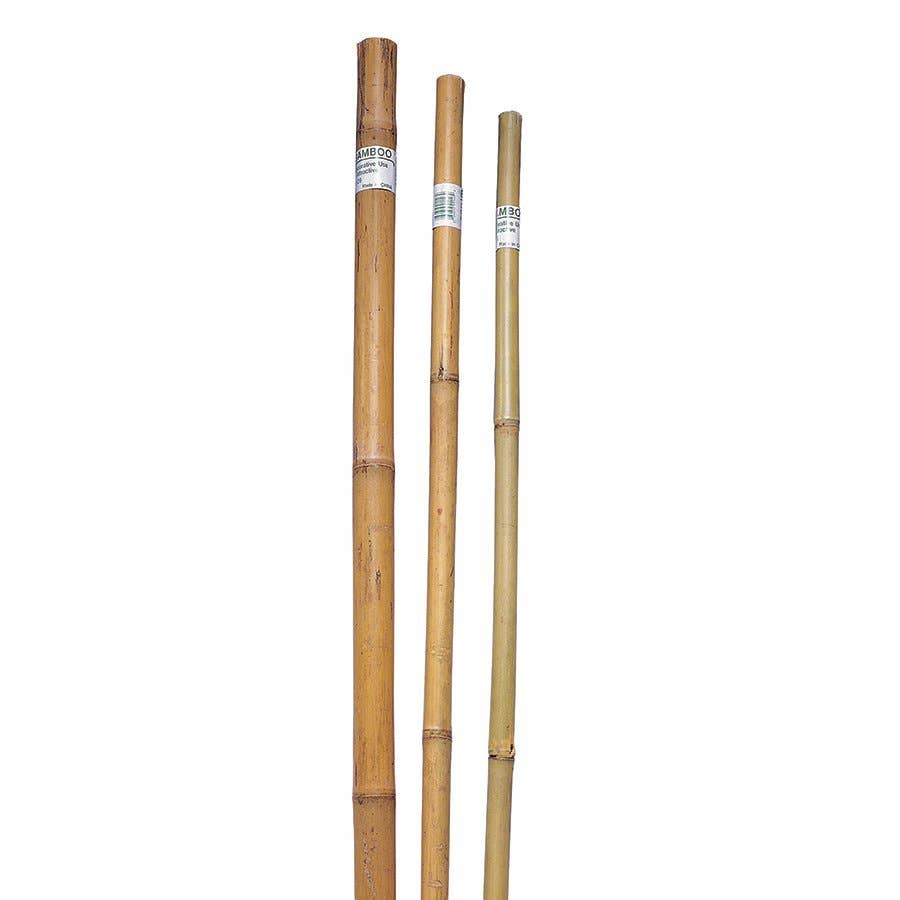 Bond Super Bamboo Pole Plant Support