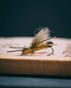 Bullet Head Skwalla