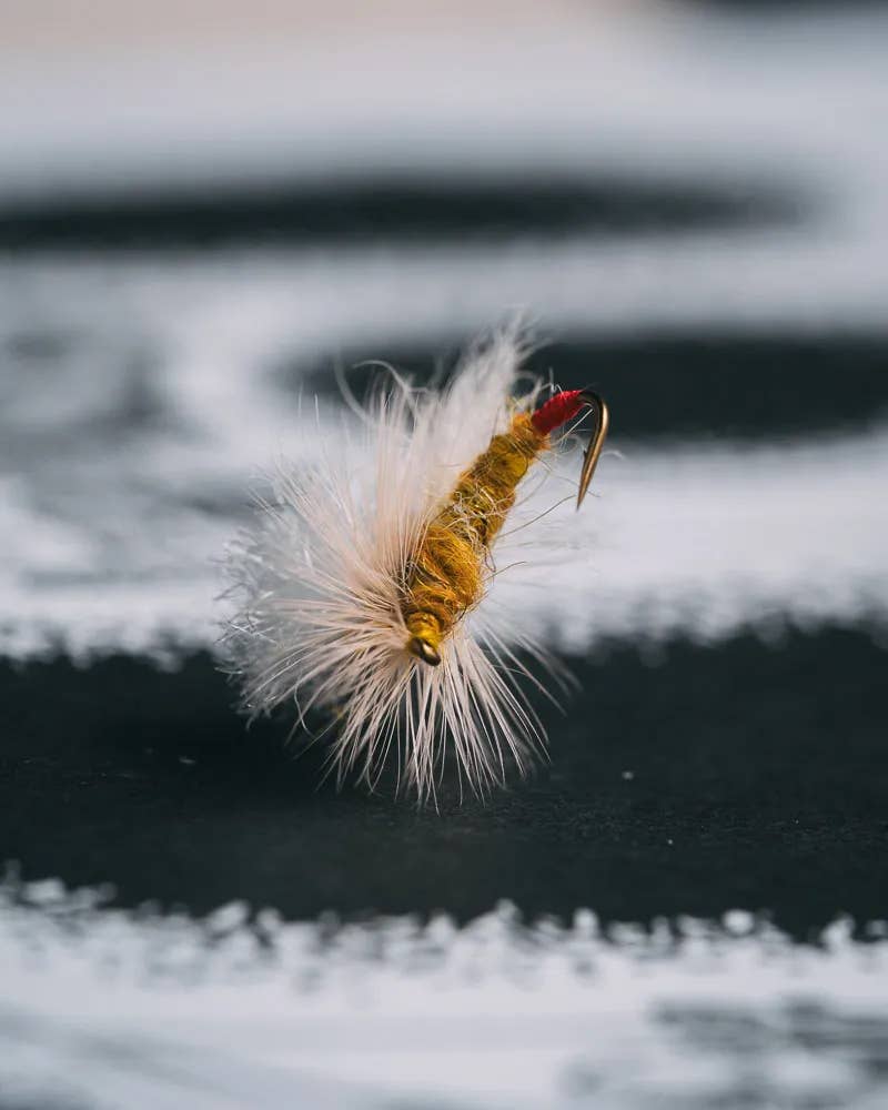 Sallyページ National Geographic's 'Sally' documentary reveals the secret