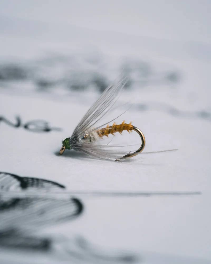 Jim Pettis' Pulsating Emerger