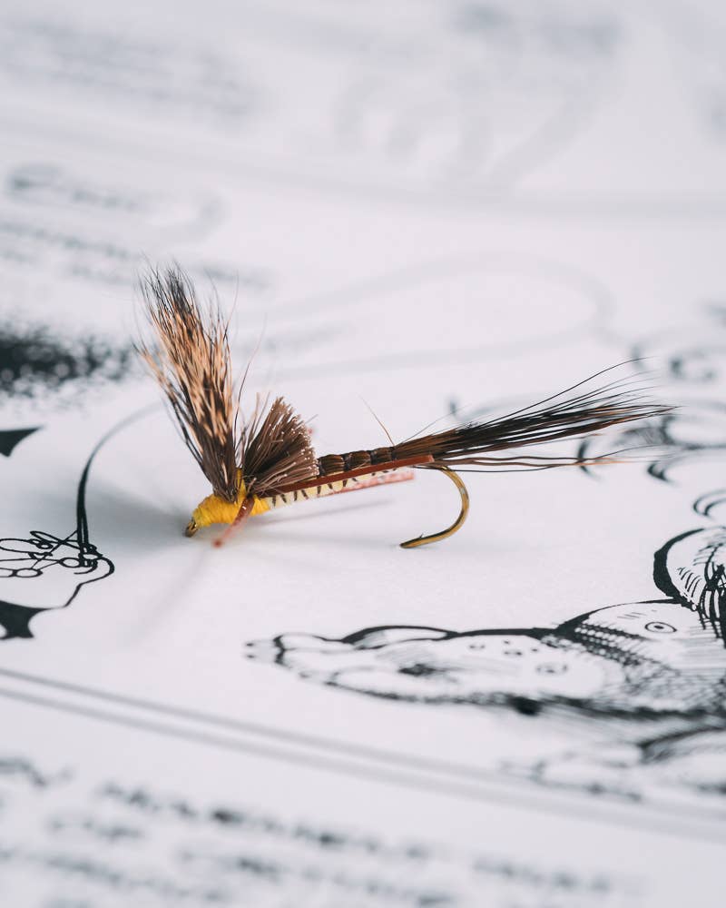 Alan Neally Brown Drake - Brown - 10