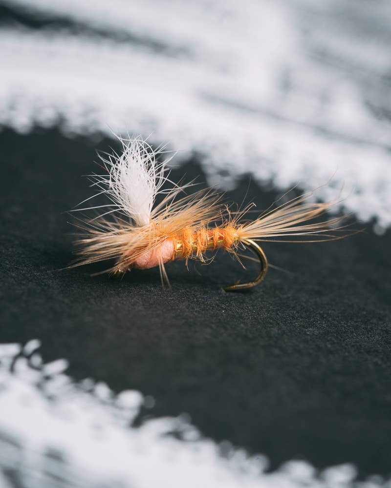 Mike Mercer Parachute - Pink Cahill - 16