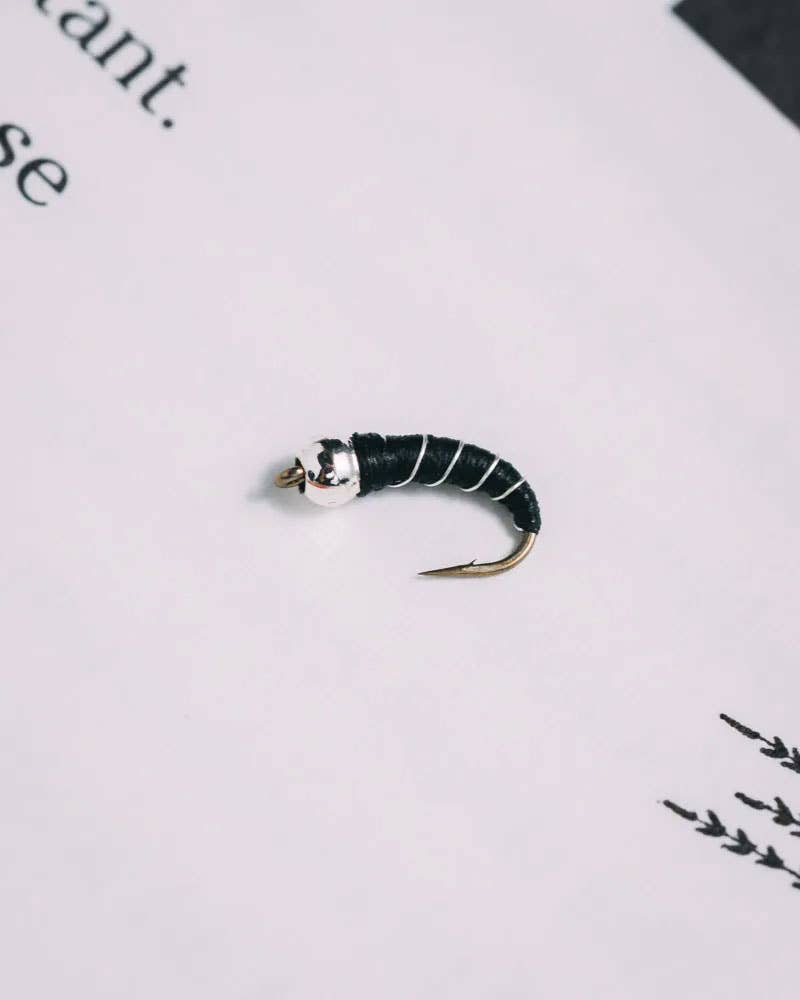 Zebra Midge - Tungsten