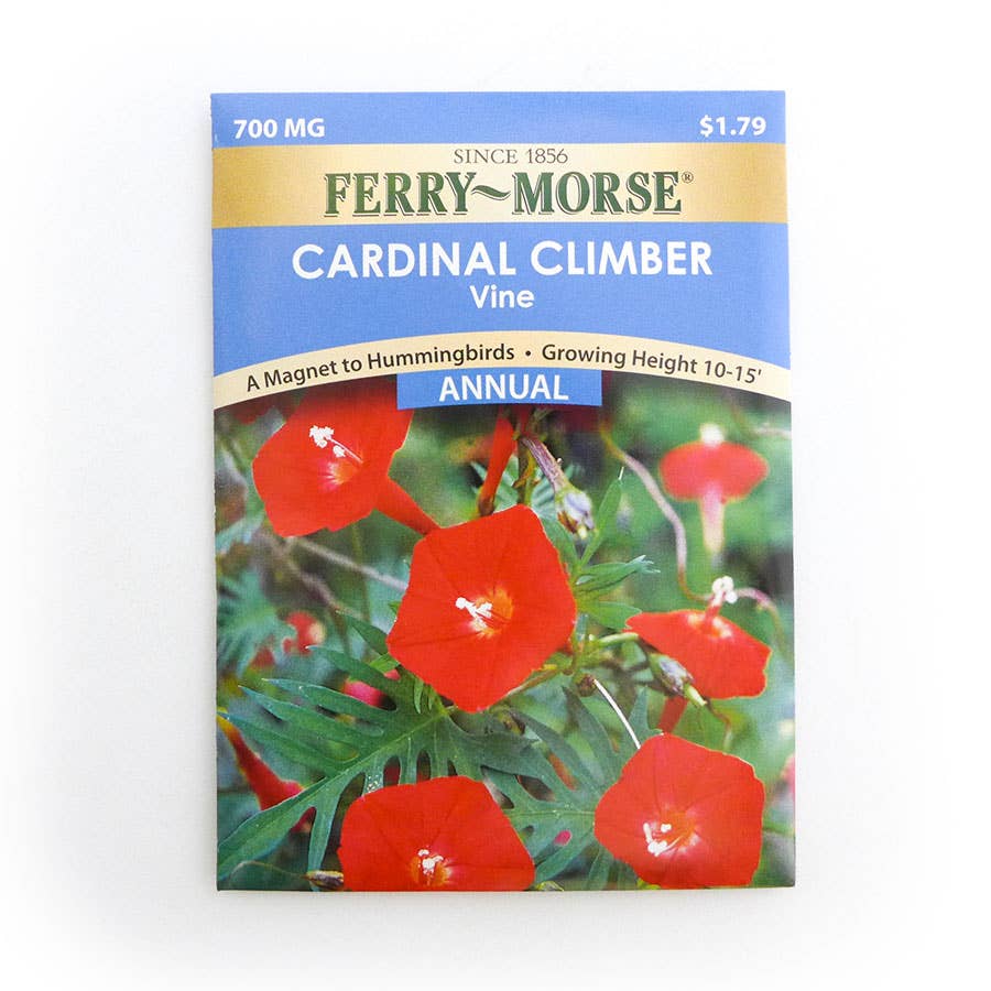 FerryMorse Climber Vine Cardinal Seed