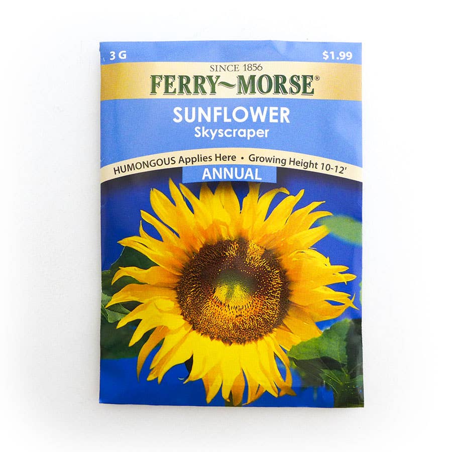 FerryMorse Sunflower Skyscraper Seed