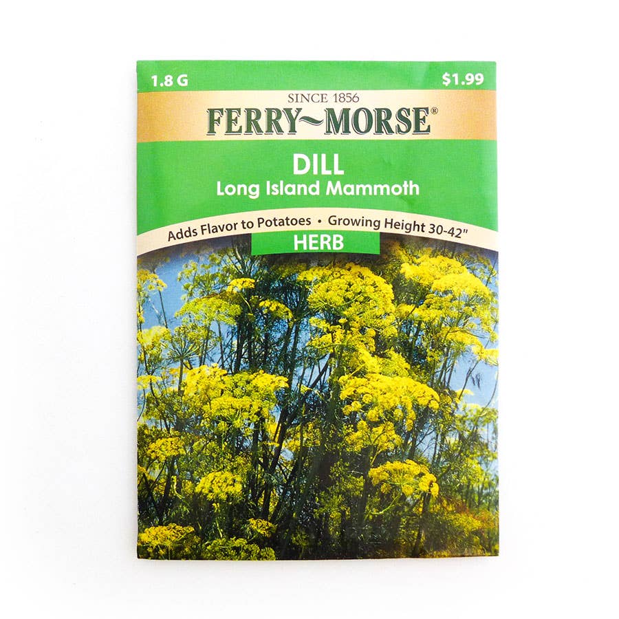 FerryMorse Herb Dill Long Island Mammoth Seed