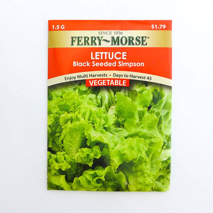 FerryMorse Lettuce Black Seeded Simpson Seed