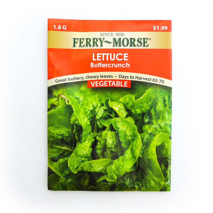 FerryMorse Lettuce Buttercrunch Seed
