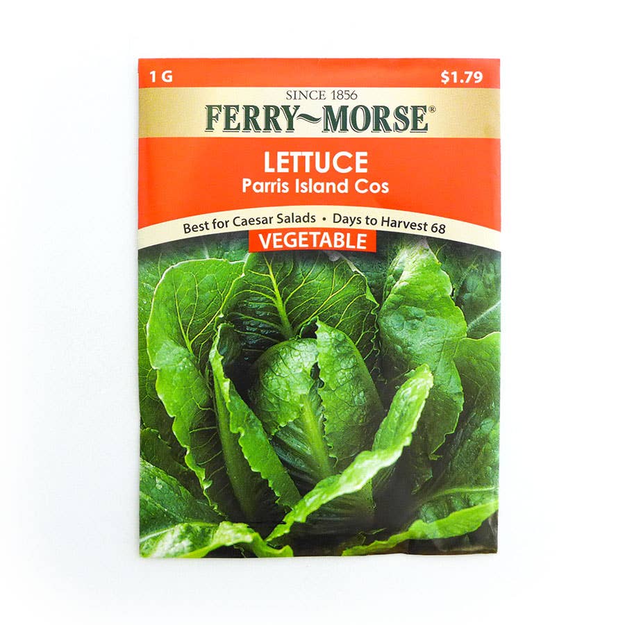 FerryMorse Lettuce Romaine Parris Island Cos Seed