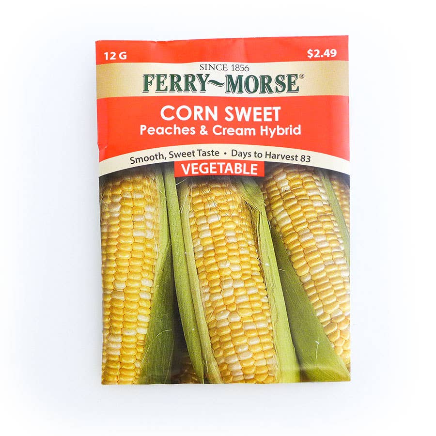 FerryMorse Sweet Corn Peaches and Cream Hybrid Seed