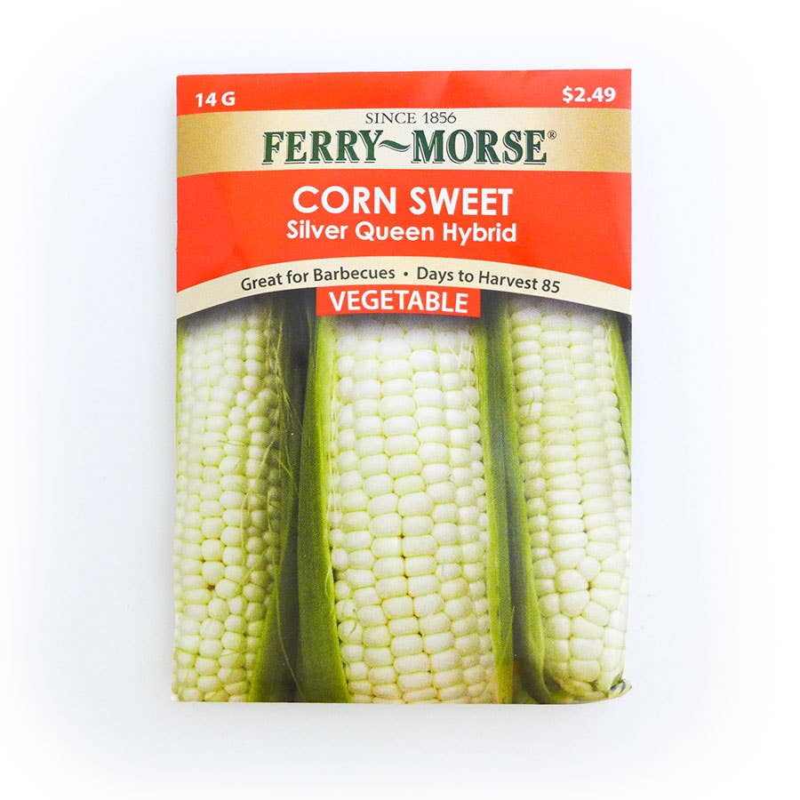 Ferry Morse Sweet Corn Silver Queen Hybrid Seed If you decide to save seed then always plant at least 25 stocks and take 1 ear from at least 5 to 7 plants for seed saving. north 40