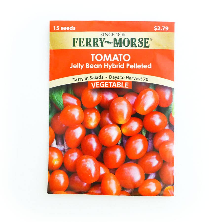 FerryMorse Tomato Jelly Bean Hybrid Seed