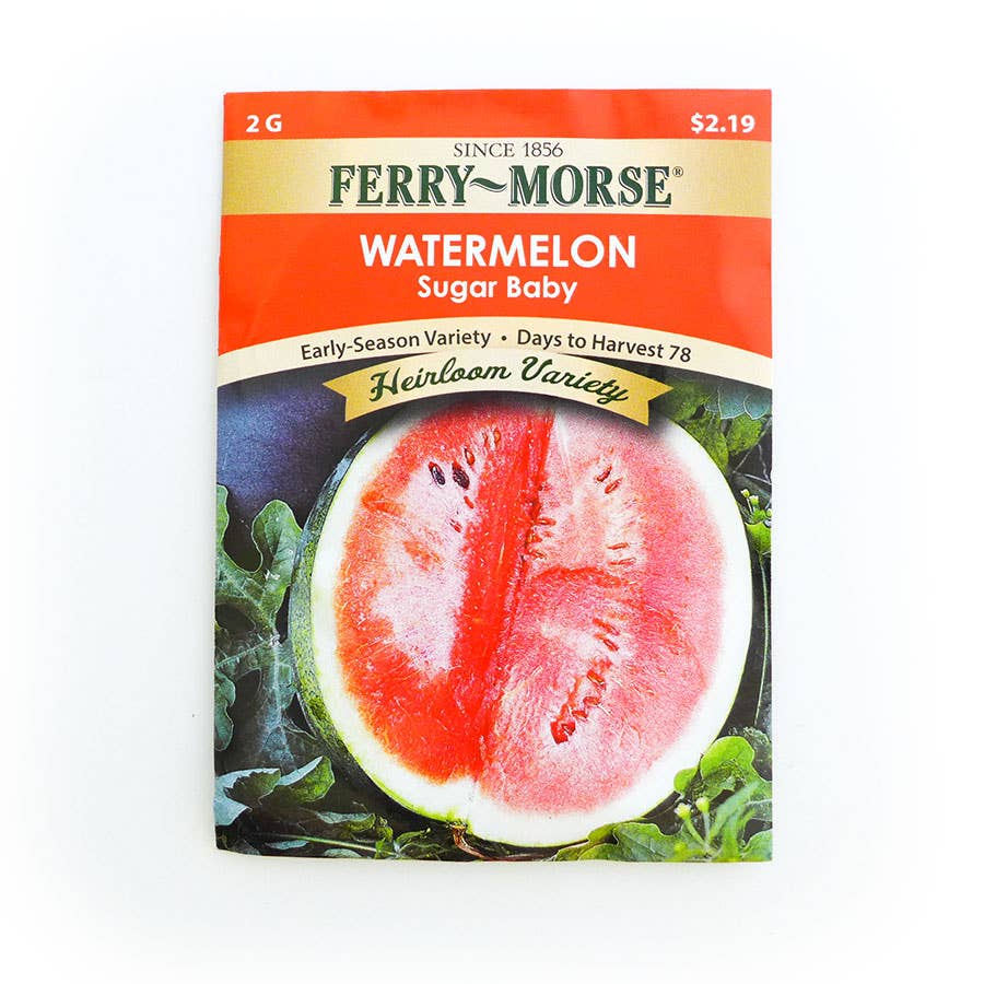 FerryMorse Watermelon Sugar Baby Seed