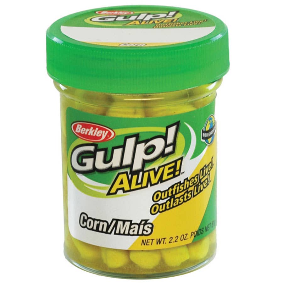 berkley gulp bait