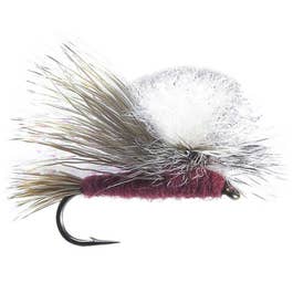 MONTANA FLY