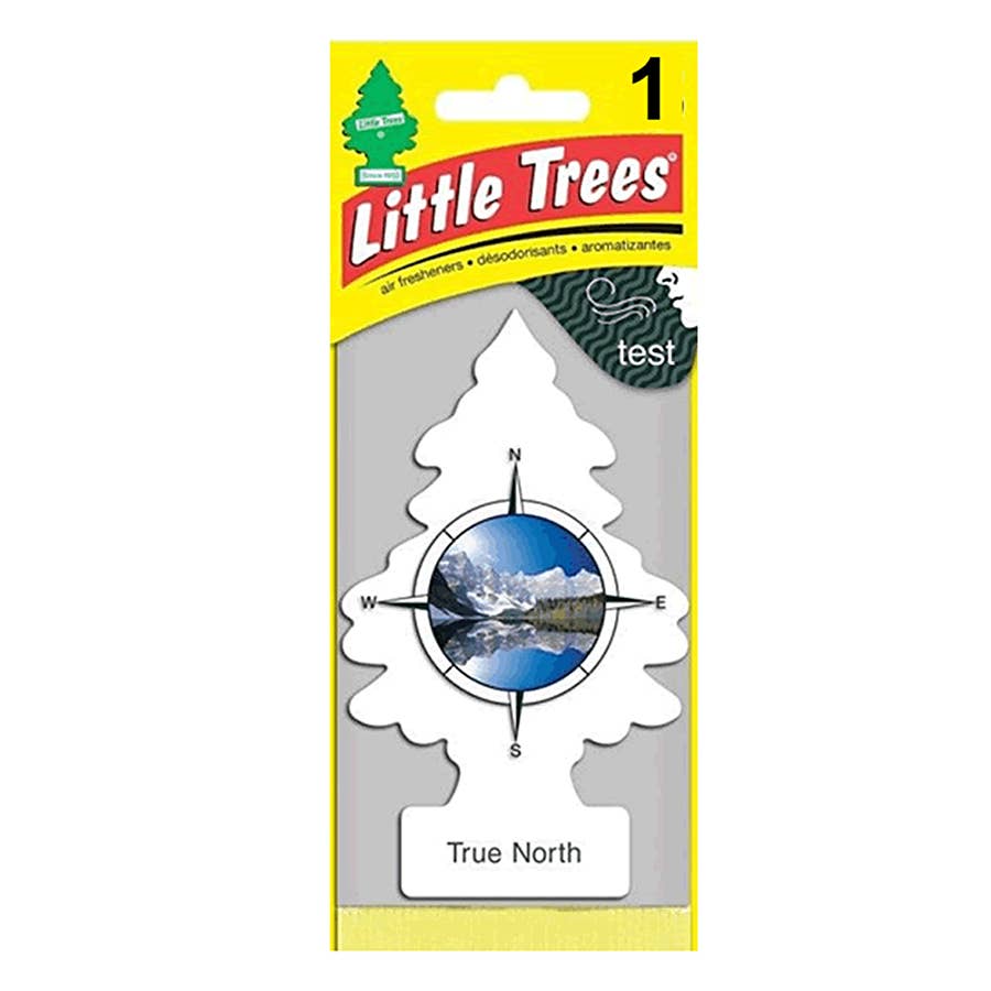 Little Trees True North Hanging Paper Car Freshener
