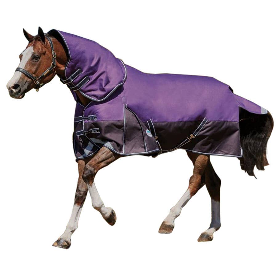 Weatherbeeta Comfitec Plus Dynamic Detach Blanket Black/Purple