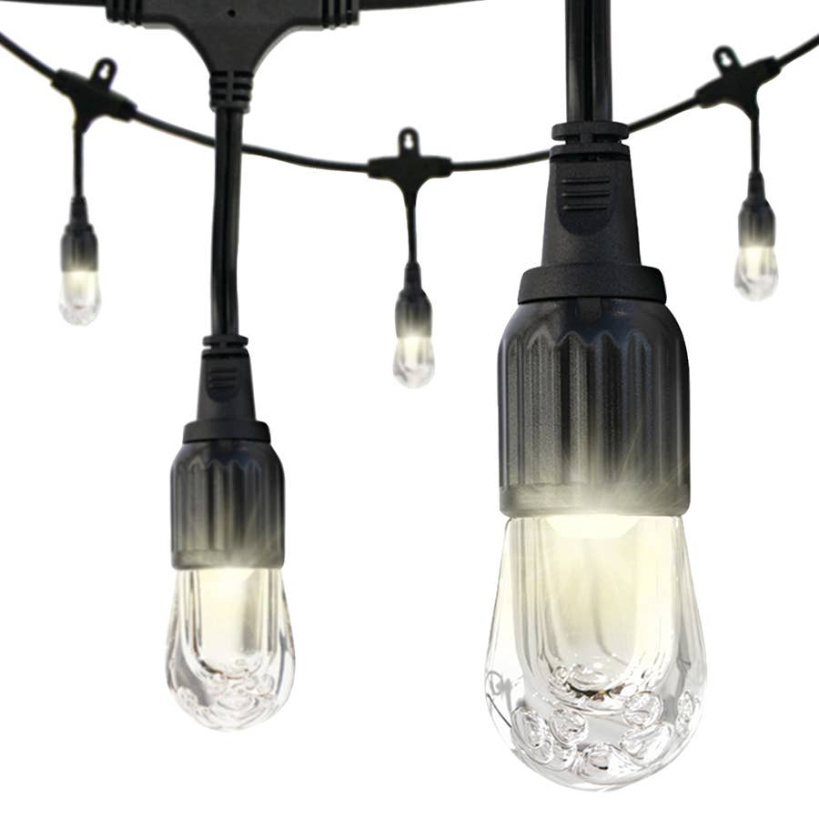 Jasco Enbrighten Cafe LED Lights 12'