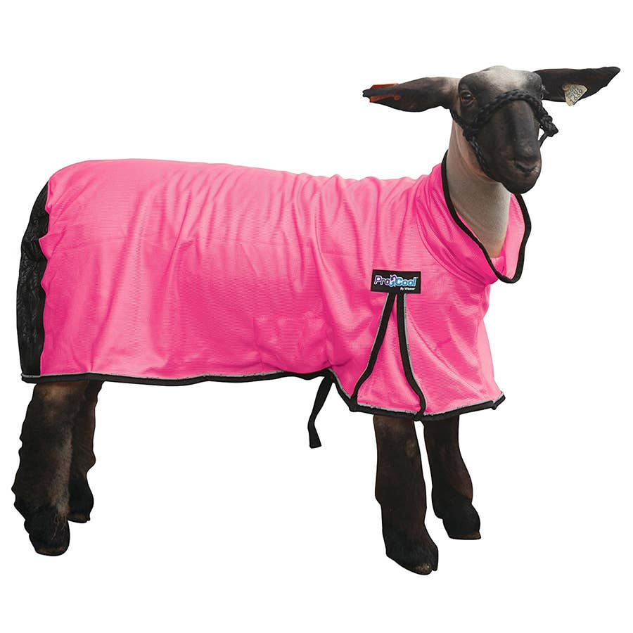 Weaver Leather ProCool Sheep Blanket with Reflective Piping