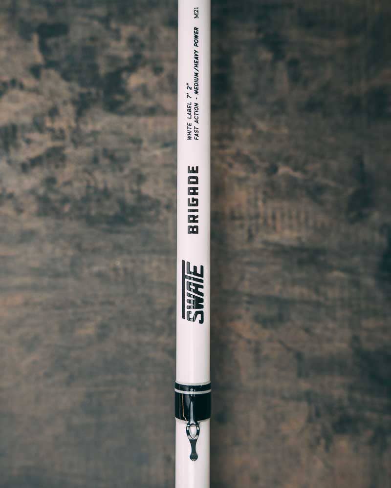 heavy power fast action rod