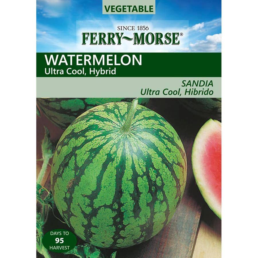 FerryMorse Watermelon Ultra Cool Hybrid Seeds