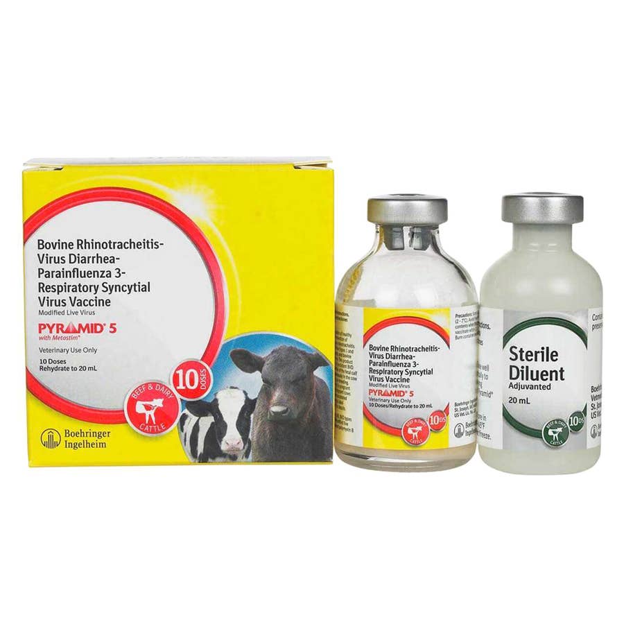 Boehringer Ingelheim PYRAMID 5 Cattle Vaccine