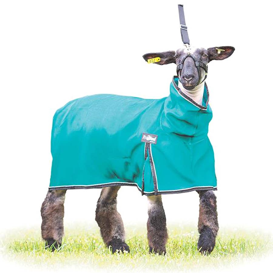 Weaver Leather ProCool Sheep Blanket