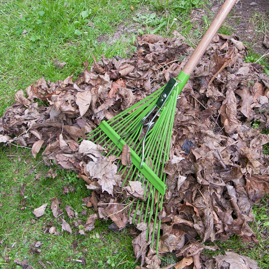 Ames 22 Tine Steel Leaf Rake With Wood Handle