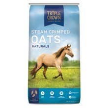 Triple Crown Horse Steam Crimped Oats - 50 lb