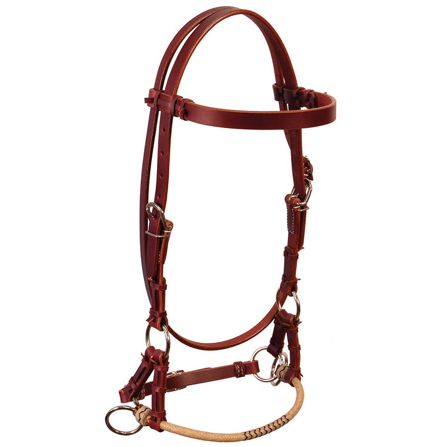 Buffalo Leather Latigo Leather Side Pull with a Rawhide Noseband