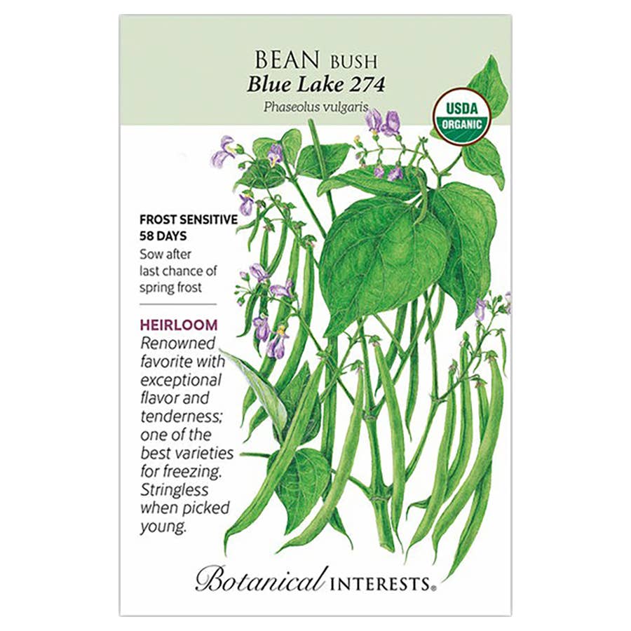 Botanical Interests Blue Lake 274 Bush Bean Seeds - Thumbnail 4
