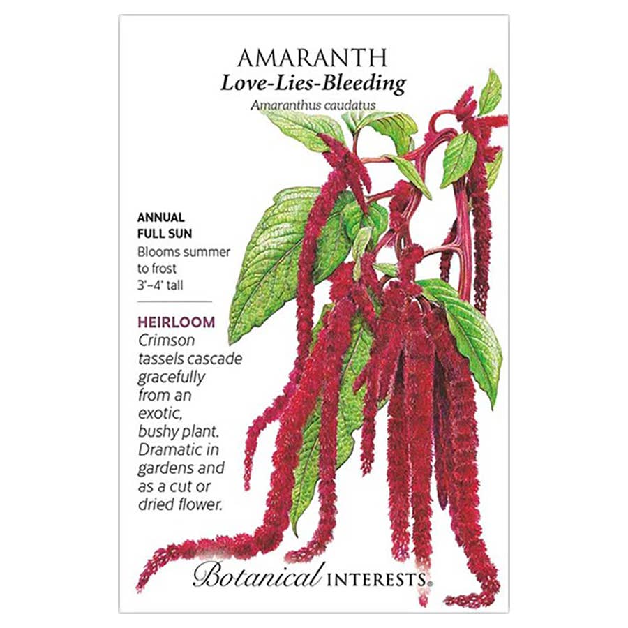 Botanical Interests Love-Lies-Bleeding Amaranth Seeds - Thumbnail 2