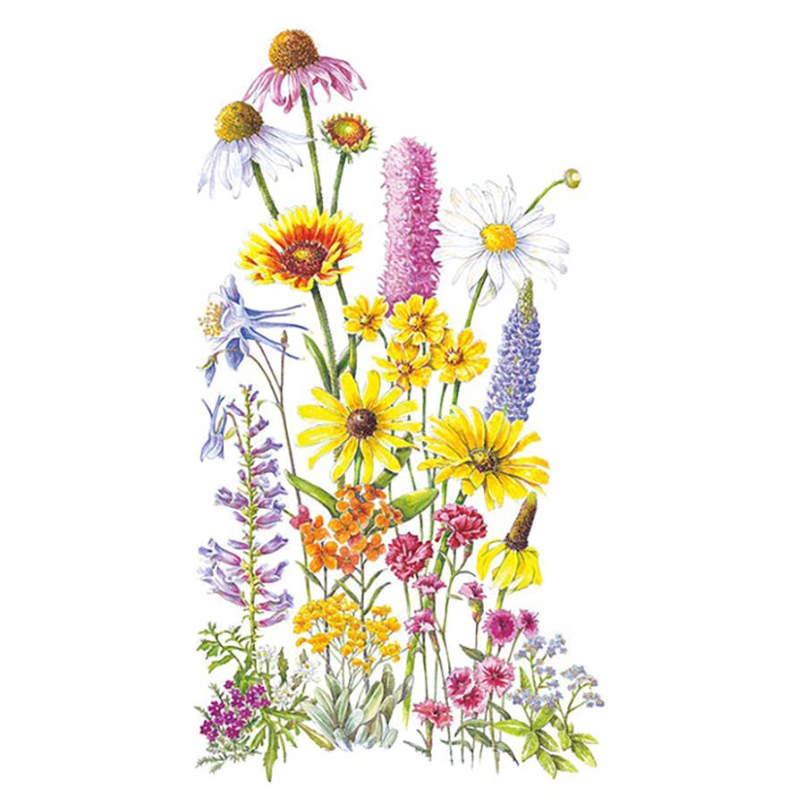 Botanical Interests Perennial Bloom Flower Mix - Thumbnail 3