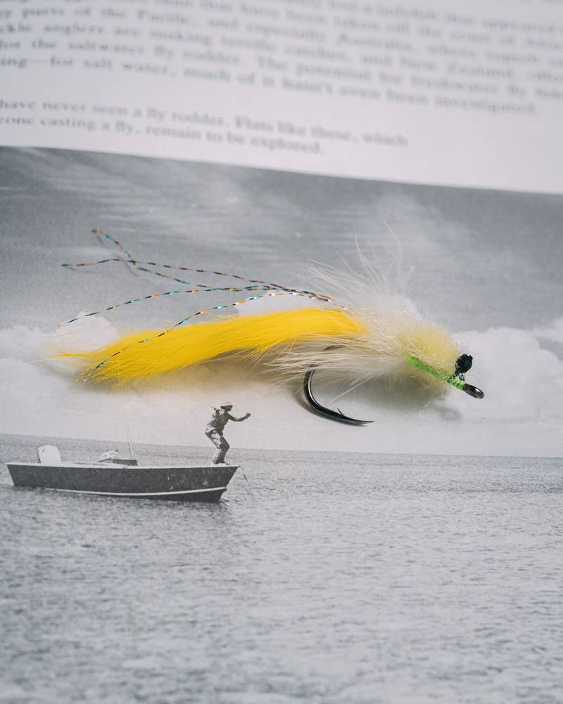 小物 BLACKFLY city of fly Cicada Fly Patterns - Brood X – Dakota Angler & Outfitter