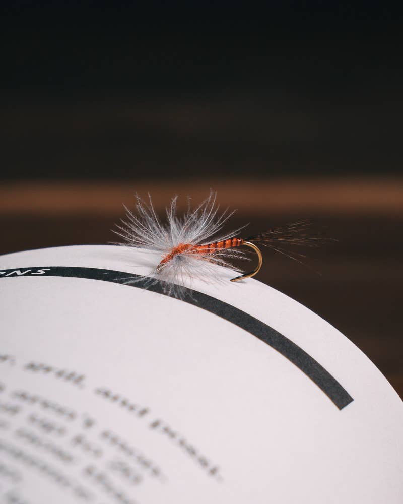 Rene Harrop's CDC Biot Spinner - Rusty